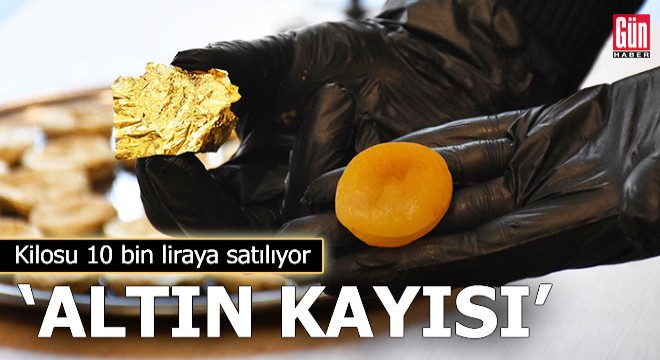  Altın kayısı  kilosu 10 bin liraya satılıyor