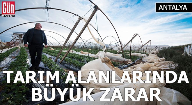 Antalya da tarım alanlarında büyük zarar