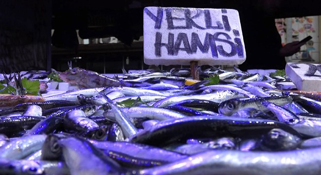 Karadeniz de balık stoku azalıyor 