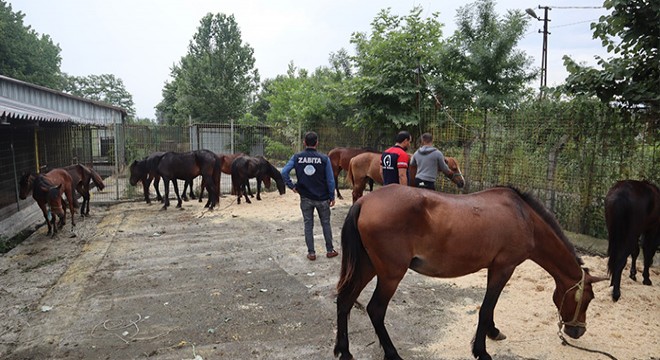 10 at kurtarıldı; kesim düzeneği olan binanın sahibi gözaltında