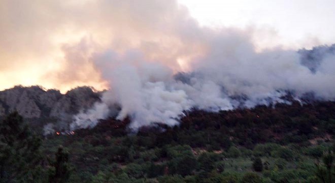14 saatte söndürülen orman yangınında, 7 hektar alan zarar gördü