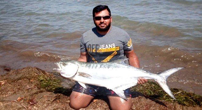 15 kiloluk liça balığı avladı