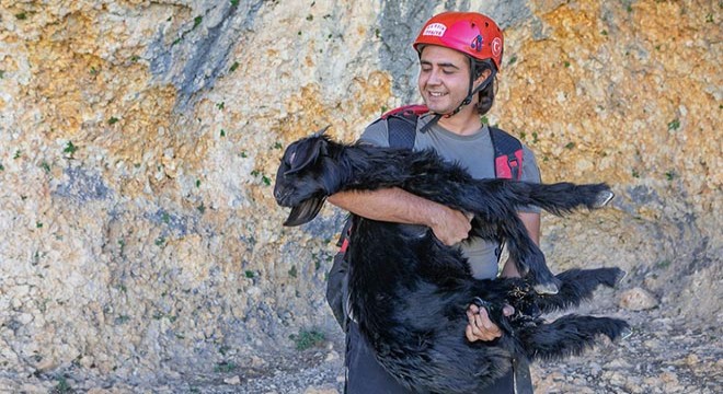15 metrelik çukura düşen keçiyi itfaiye kurtardı
