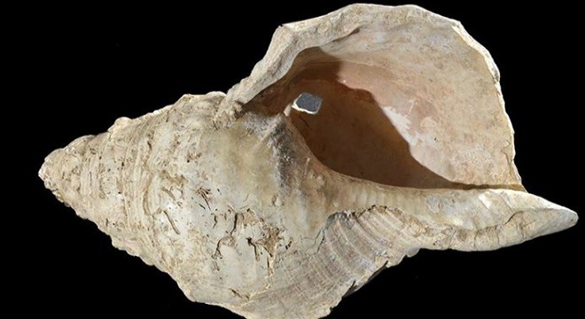17 bin yıllık müzik aleti olan deniz kabuğu yeniden ses verdi