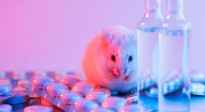 192 milyondan fazla hayvan, deney için laboratuvarlarda tutuluyor
