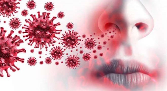 3 ülkede daha mutasyonlu virüs tespit edildi