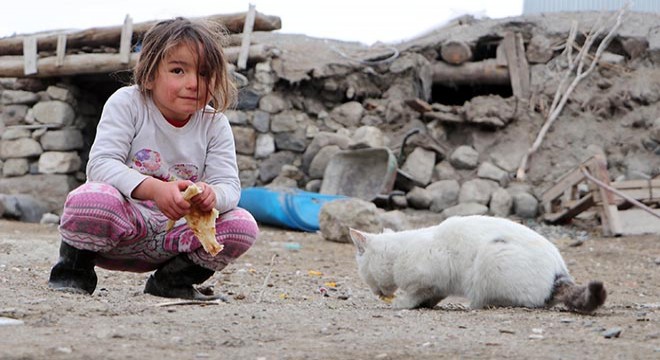 4 yaşındaki depremzede Hira, ekmeğini kedilerle paylaştı