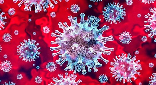 8 inci çocuğunu dünyaya getirdi, koronavirüsten öldü