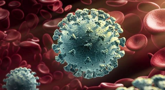 ABD’de ölüm oranı koronavirüs nedeniyle yıllık yüzde 15 arttı