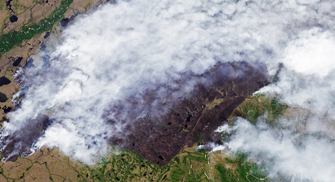 ABD den sonra Rusya da orman yangınlarıyla mücadele ediyor
