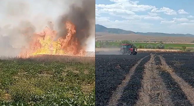 Afyonkarahisar da tarım arazilerinde yangın