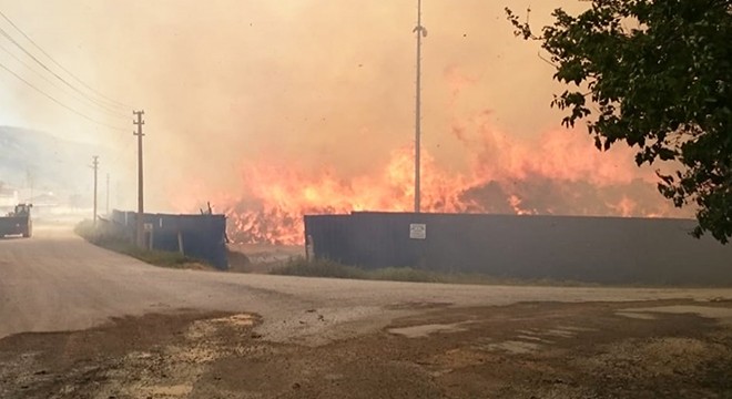 Afyonkarahisar daki biyokütle enerji tesisinde yine yangın