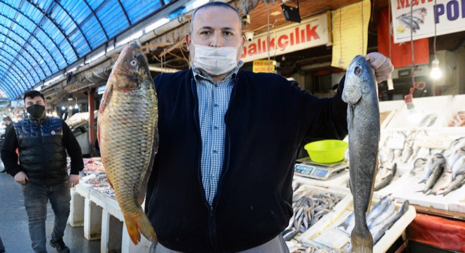 Akdeniz’de havalar iyi gitti, balık fiyatları artmadı