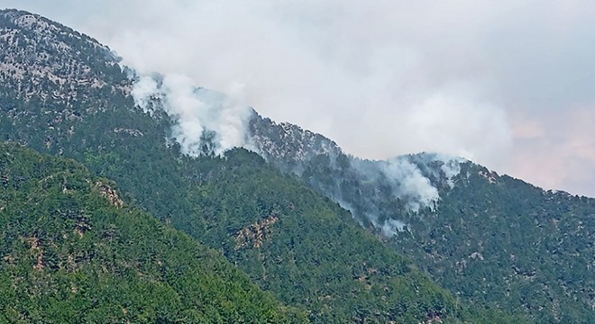 Alanya daki orman yangını kontrol altında