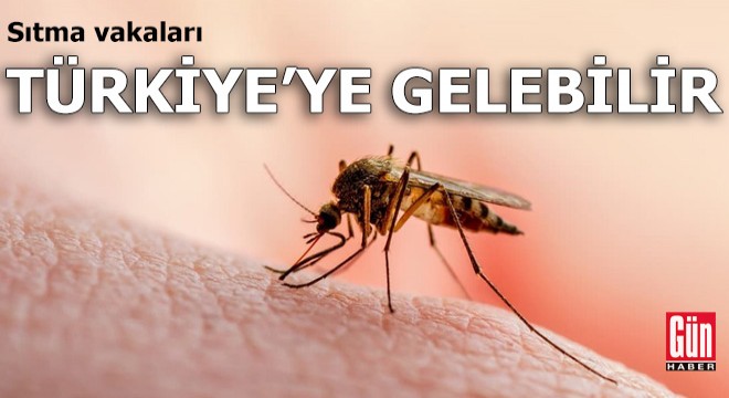 Aman dikkat! Sıtma vakaları Türkiye ye gelebilir