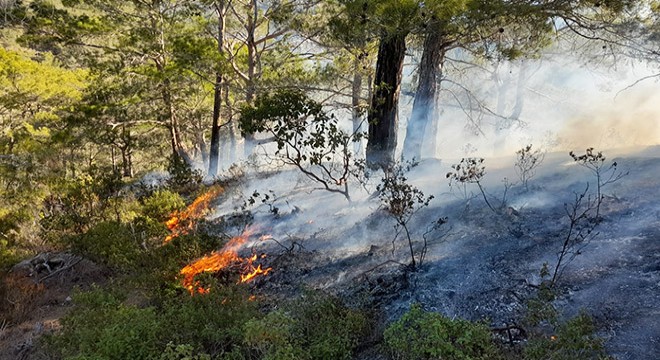 Anamur da 1 hektarlık orman yandı