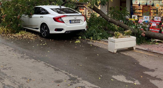 Ankara da otomobilin üzerine ağaç devrildi