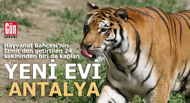 Antalya Hayvanat Bahçesi nin 24 yeni sakini
