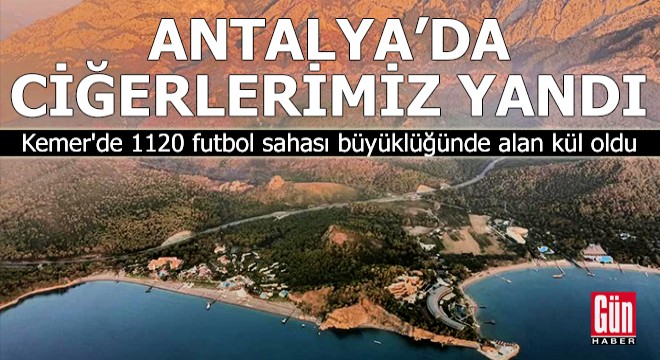 Antalya da 1120 futbol sahası büyüklüğünde alan kül oldu