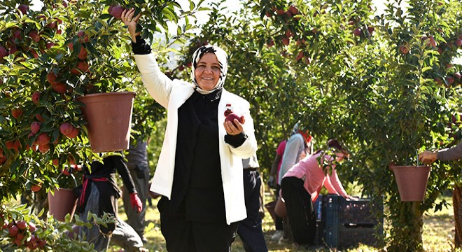 Antalya da Elma Hasat Şenliği yapıldı