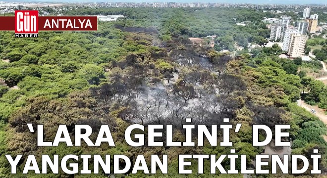 Antalya'da 'Lara gelini' de yangından etkilendi