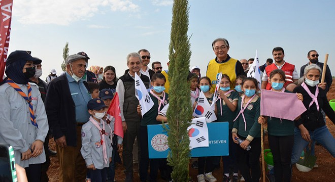 Antalya da  Türkiye- Kore Dostluk Ormanı  için ilk fidanlar toprakla buluşturuldu