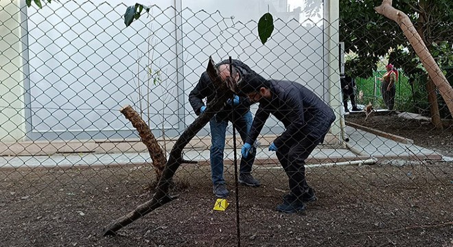 Antalya'da alacak verecek tartışmasında 1 yaralı