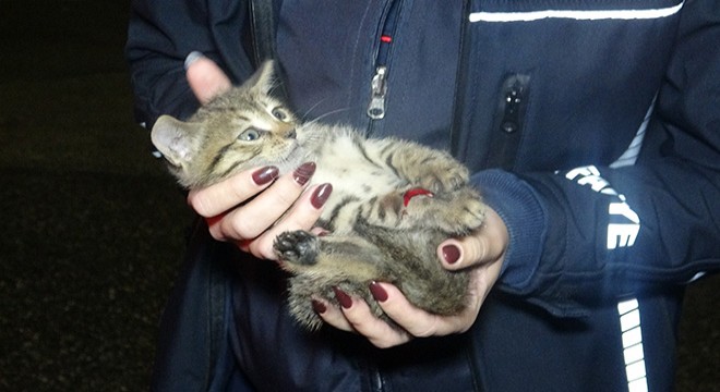 Antalya da aracın tekerine sıkışan kedi kurtarıldı