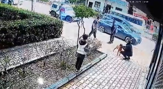 Antalya da çaldığı köpeğin sahibine ve polise bıçak çekti