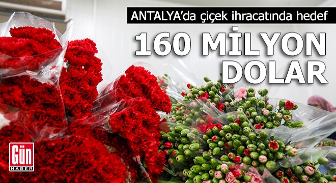 Antalya da çiçek ihracatında 2024 hedefi 160 milyon dolar