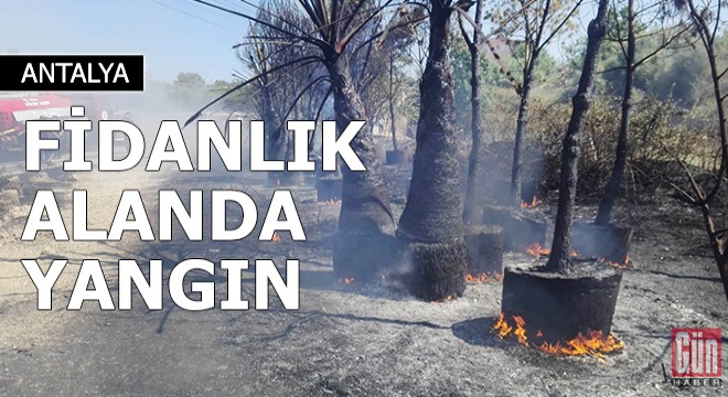 Antalya da fidanlık alanda yangın