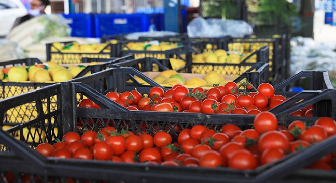 Antalya da ihracatın yüzde 61 i tarım sektöründen
