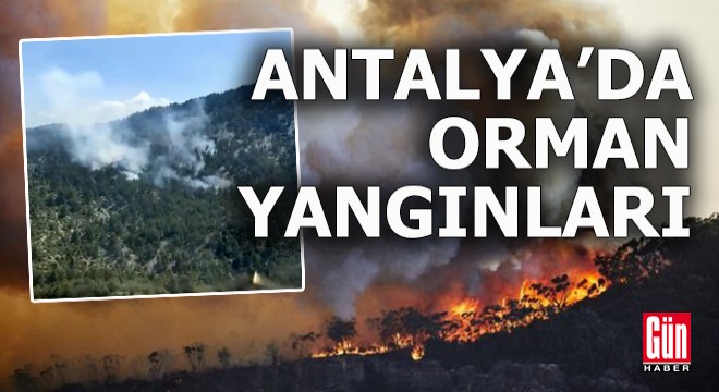 Antalya da iki noktada orman yangını