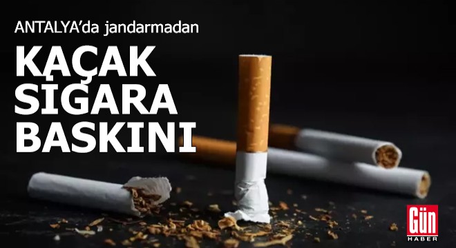 Antalya da jandarmadan kaçak sigara baskını
