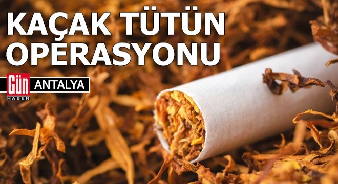 Antalya da jandarmadan yarım tonluk kaçak tütün operasyonu