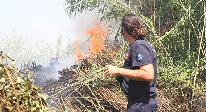 Antalya da kargılık yangını seralara ulaşmadan söndürüldü