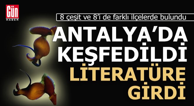 Antalya da keşfedildiler, dünya literatürüne girdiler