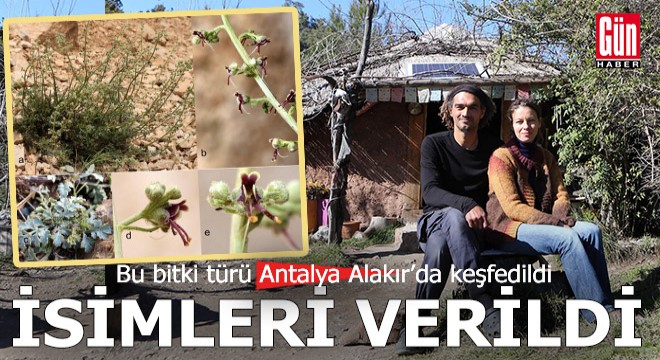 Antalya da keşfedilen bitki türüne o çiftin isimleri verildi