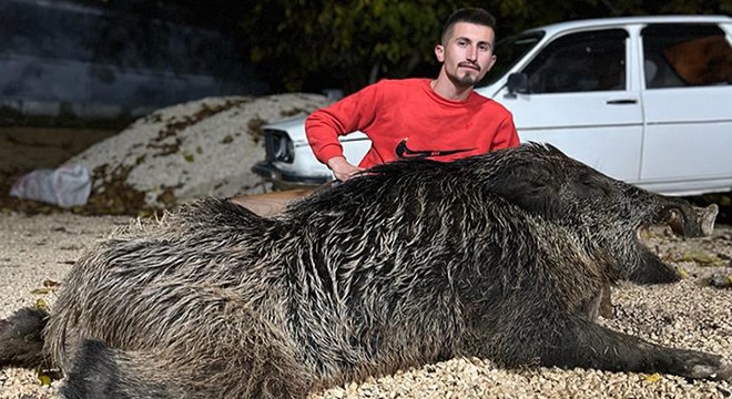 Antalya da köpeğine saldırdığını söylediği 397 kiloluk domuzu öldürdü