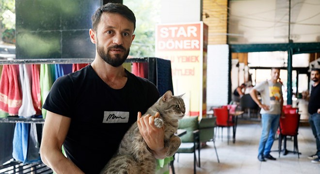 Antalya da kuaför çırağı, iş yeri sahibinin kedisini darbetti
