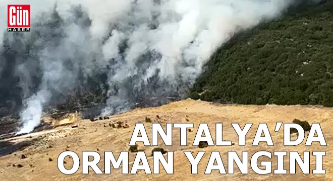 Antalya da orman yangını