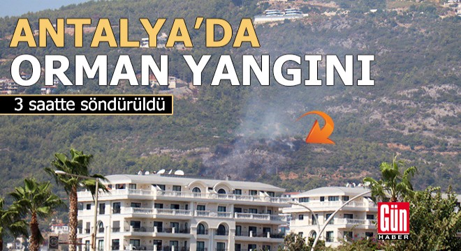 Antalya da orman yangını; 3 saatte söndürüldü