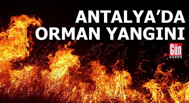 Antalya da orman yangını!