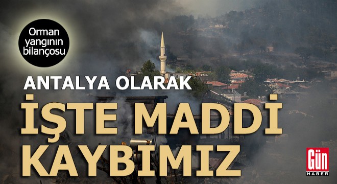 Antalya da orman yangının yarattığı ekonomik kayıp belli oldu