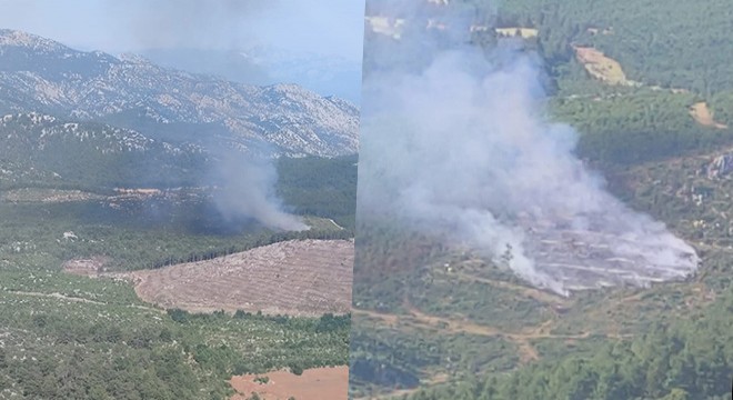 Antalya da orman yangınında 1 hektar alan kül oldu