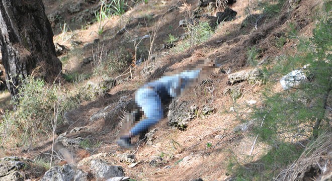 Antalya da ormanda erkek cesedi bulundu