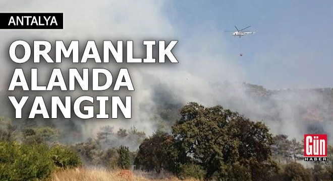 Antalya da ormanlık alanda yangın!