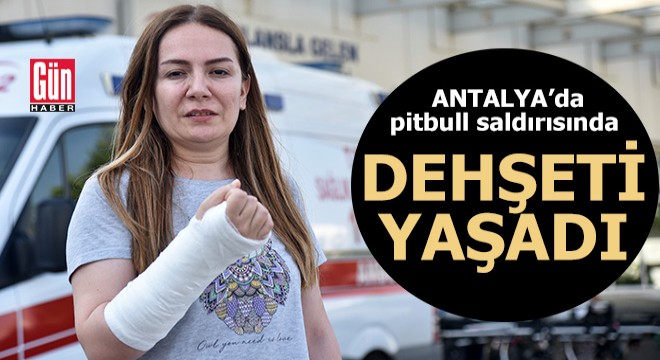 Antalya da pitbull saldırısında dehşeti yaşadı
