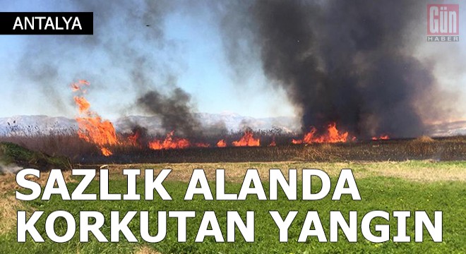 Antalya da sazlık alanda yangın