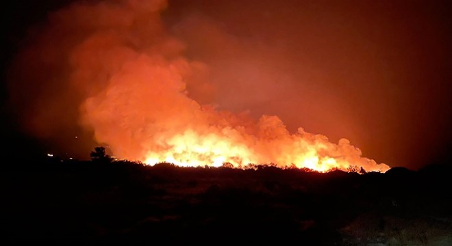 Antalya da sazlık ve ağaçlıkta çıkan yangın, 3 saatte söndürüldü